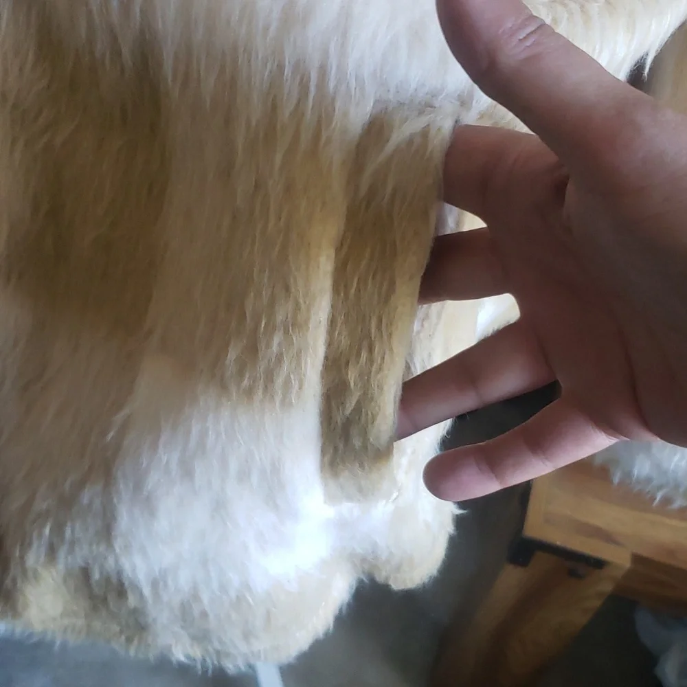 NWT American Eagle outfitters jacket XL - Picture 9 of 12